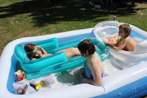 IMG 4530
