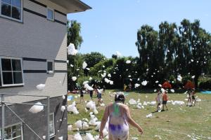 IMG 4550
