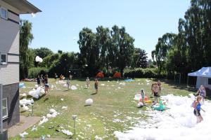 IMG 4553