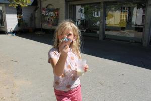 IMG 4631