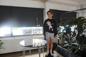 IMG 4920