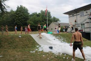 IMG 4954